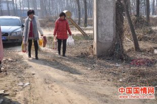 zt体育官方网站:新春